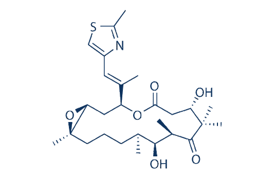 Patupilone (Epothilone B)