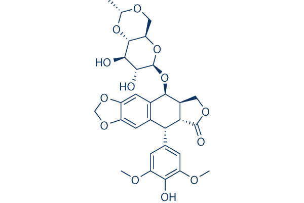 Etoposide