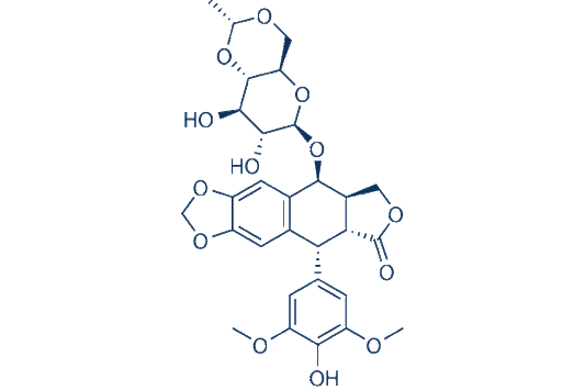 Etoposide