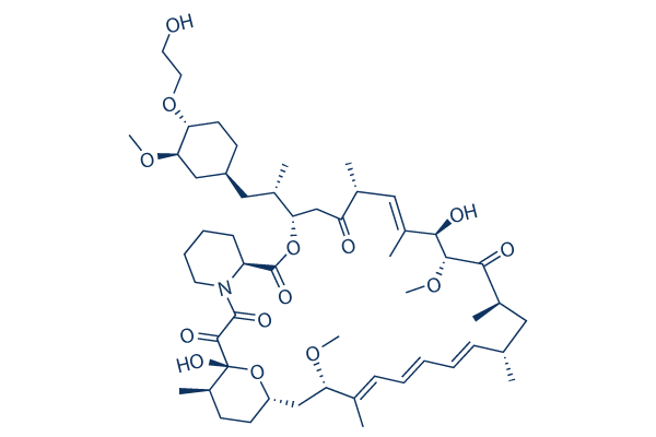 RAD001 (Everolimus)