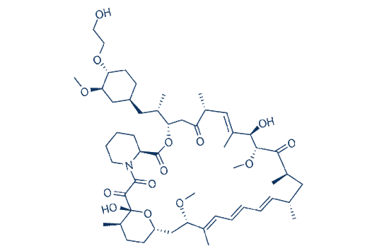 RAD001 (Everolimus)