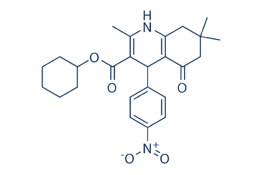 FLI-06