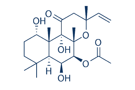Forskolin (Colforsin)