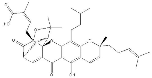 Gambogic Acid