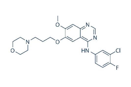 Gefitinib (ZD1839)