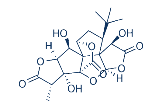 Ginkgolide B