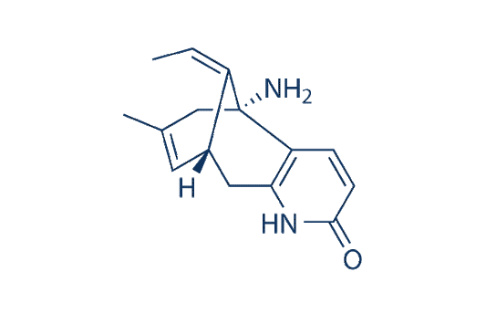 (-)-Huperzine A (HupA)