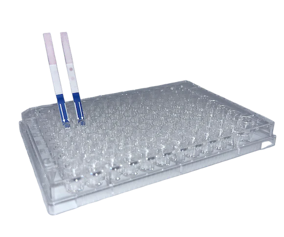 Lateral Flow "DIY" Assay Kit