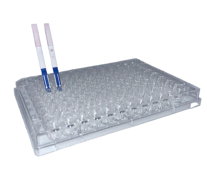 Lateral Flow "DIY" Assay Kit