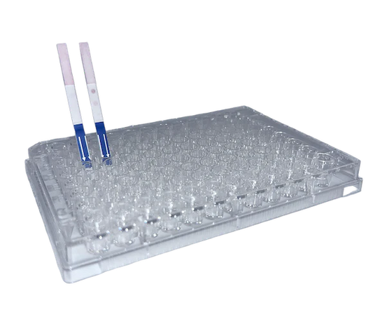 Lateral Flow "DIY" Assay Kit