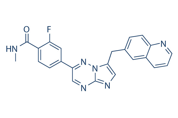 Capmatinib (INC280)