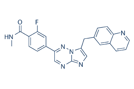 Capmatinib (INC280)