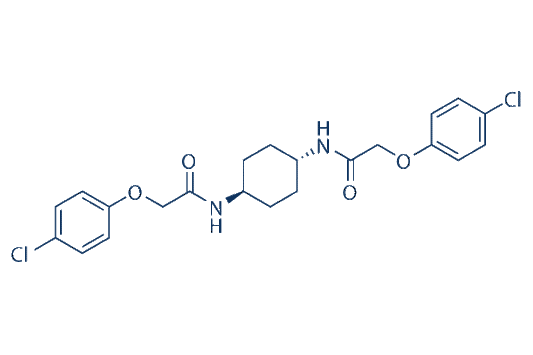 ISRIB (trans-isomer)