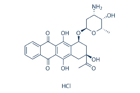 Idarubicin HCl