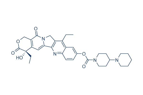 Irinotecan (CPT-11)