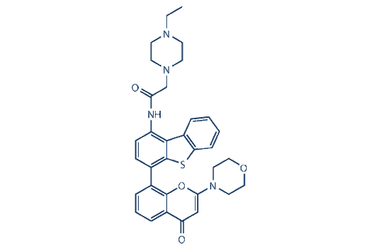 KU-0060648