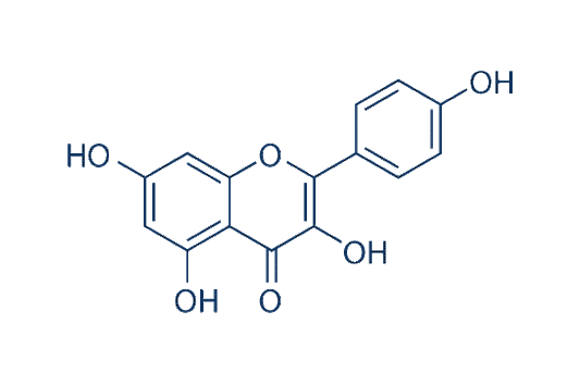 Kaempferol