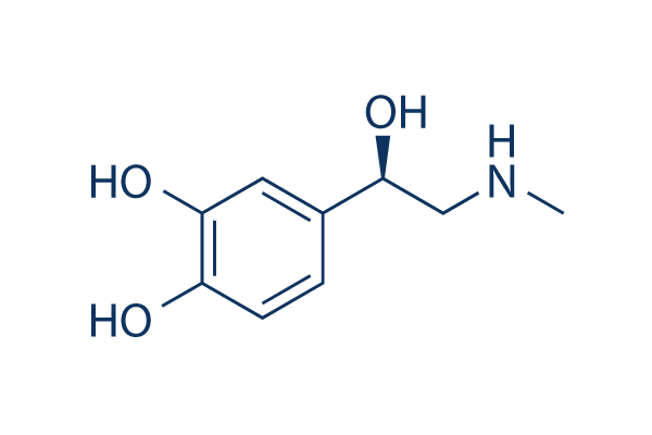 L-Adrenaline