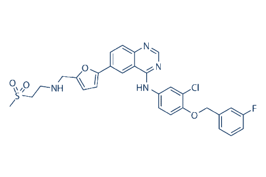 Lapatinib (GW572016)