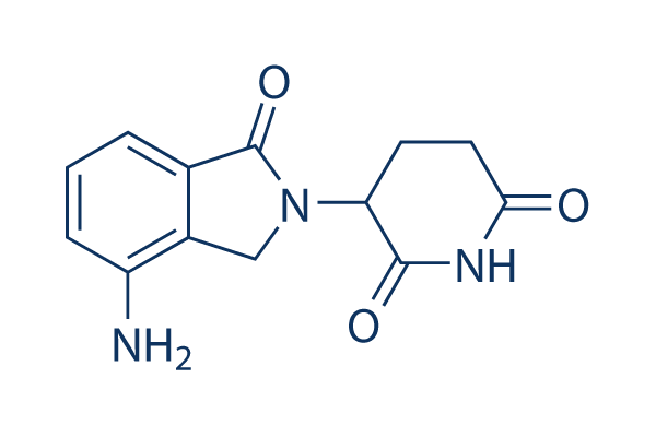 CC-5013 (Lenalidomide)