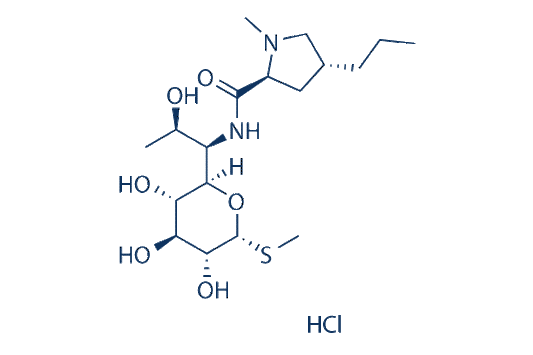 Lincomycin HCl