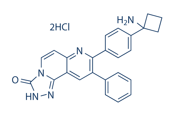 MK-2206 Dihydrochloride