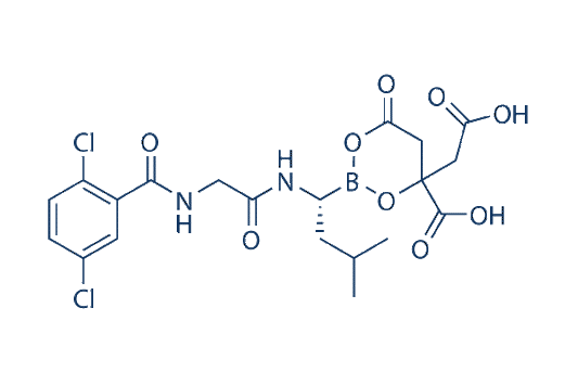 Ixazomib Citrate (MLN9708)Analogue