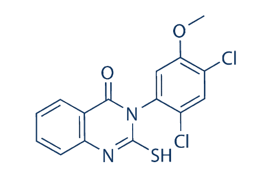 Mdivi-1