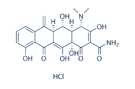 Methacycline HCl
