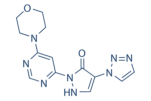 Molidustat (BAY 85-3934)