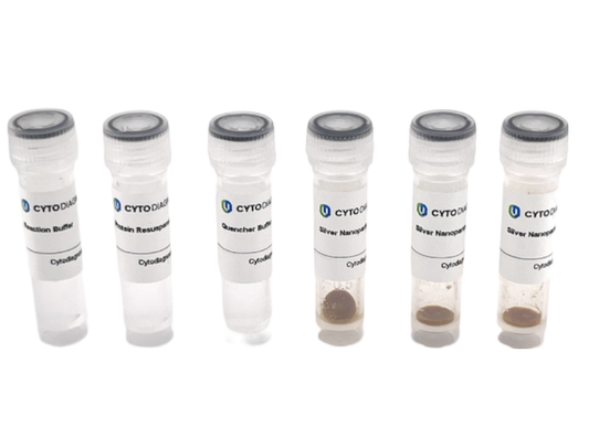 10nm NHS-Activated Silver Nanoparticle Conjugation Kit