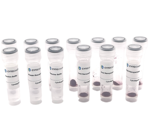 30nm NHS-Activated Gold Nanoparticle Conjugation Kit