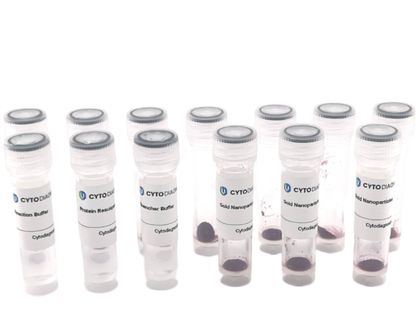 50nm NHS-Activated Gold Nanoparticle Conjugation Kit