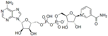 NAD+ (β-DPN)