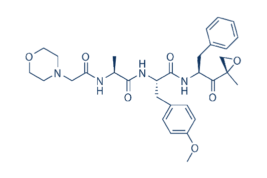 ONX-0914 (PR-957)