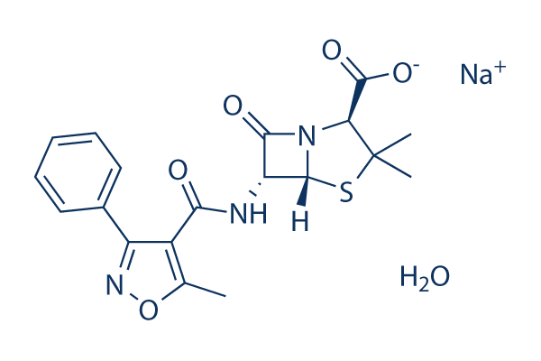 Oxacillin sodium monohydrate