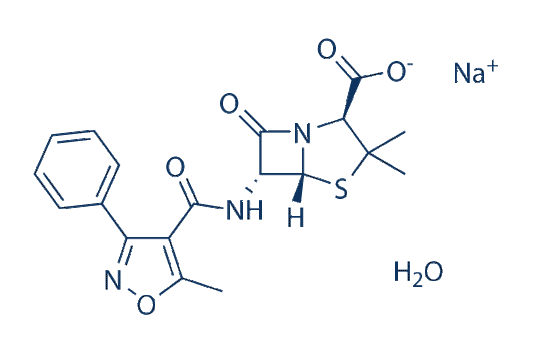Oxacillin sodium monohydrate