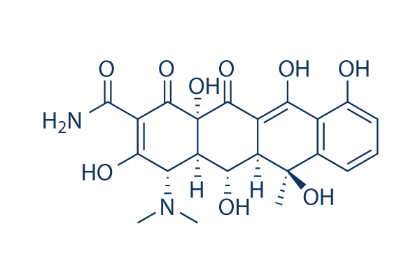 Oxytetracycline (Terramycin)