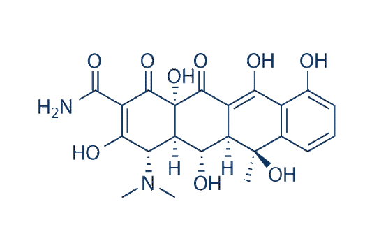 Oxytetracycline (Terramycin)