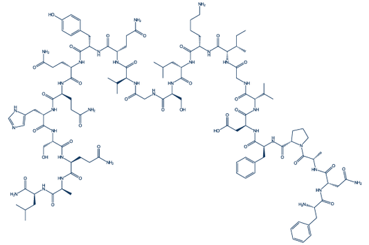 Obestatin (Human)