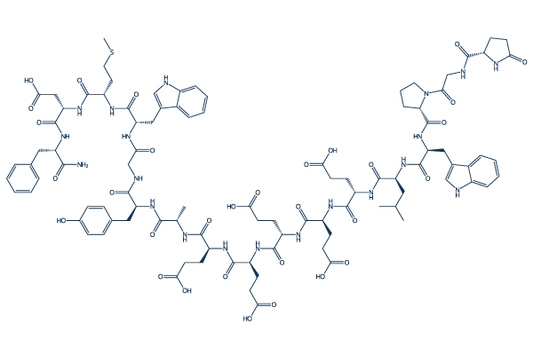 Gastrin I, human