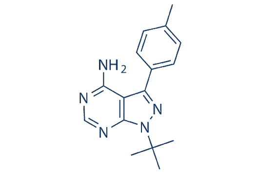 PP1