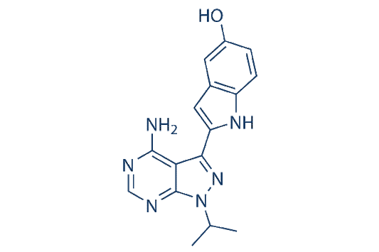 Torkinib (PP242)