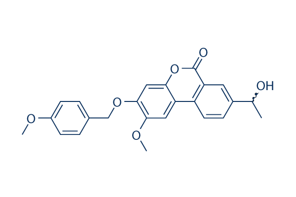 Palomid 529 (P529)