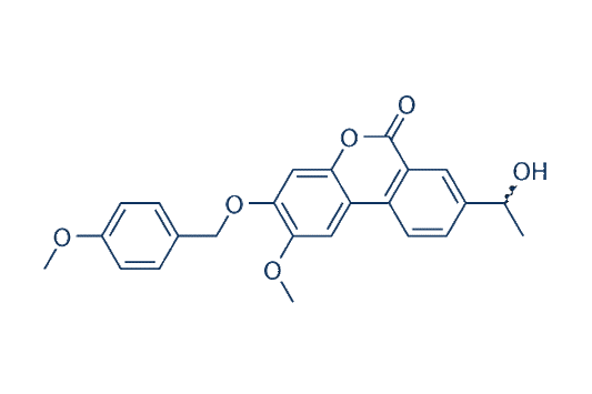 Palomid 529 (P529)
