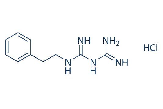 Phenformin HCl