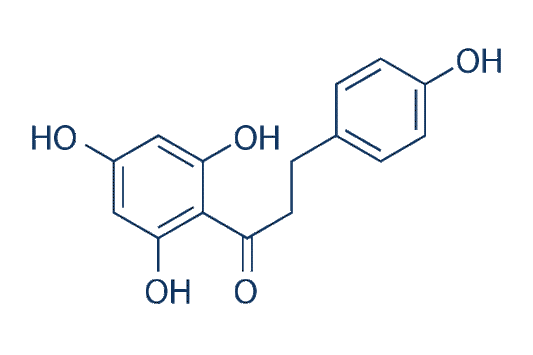 Phloretin (RJC 02792)