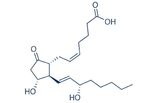 Prostaglandin E2 (PGE2)