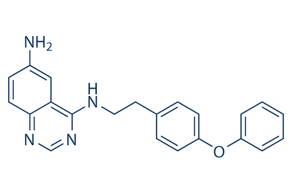 QNZ (EVP4593)