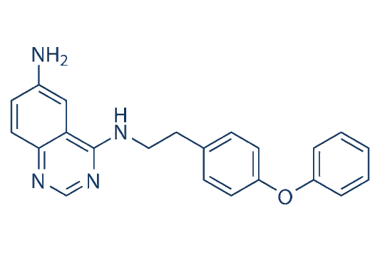 QNZ (EVP4593)